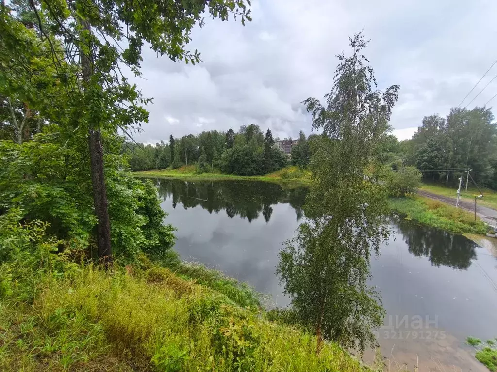 Участок в Ленинградская область, Гатчинский муниципальный округ, ... - Фото 2