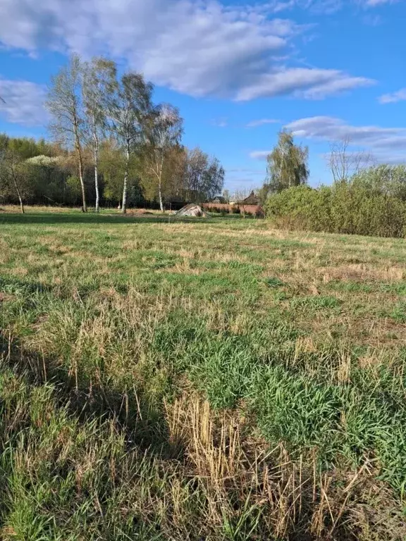 Участок в Московская область, Орехово-Зуевский городской округ, д. ... - Фото 0