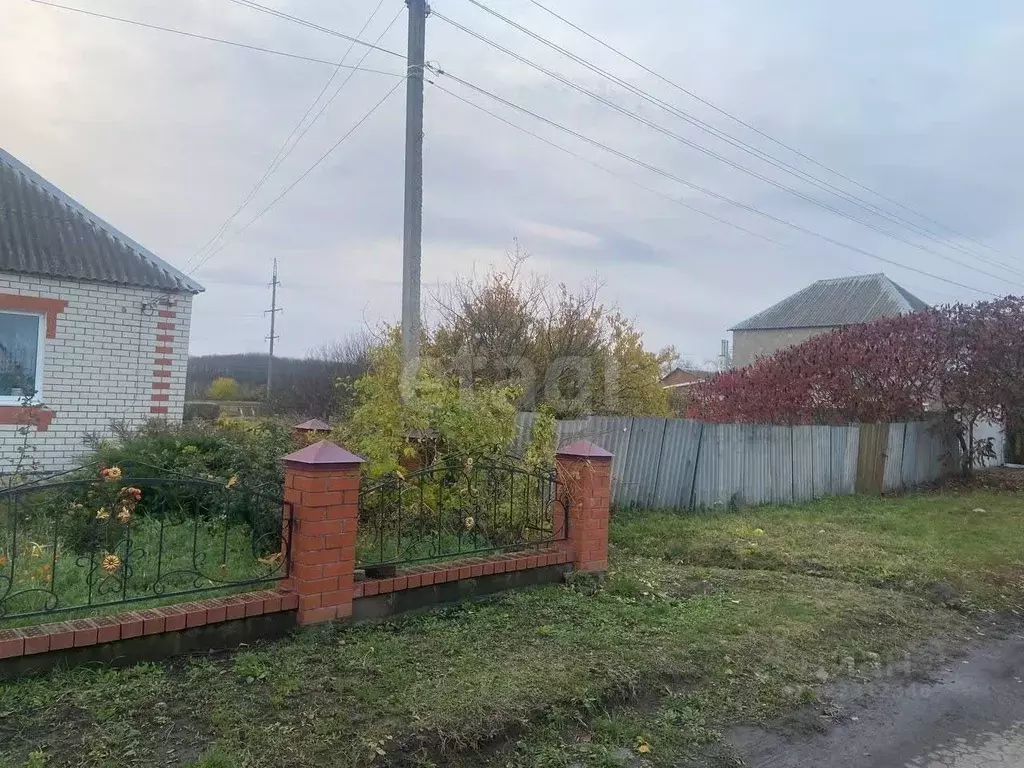 Участок в Белгородская область, Ивня рп, Исторический район совхоз  ... - Фото 1