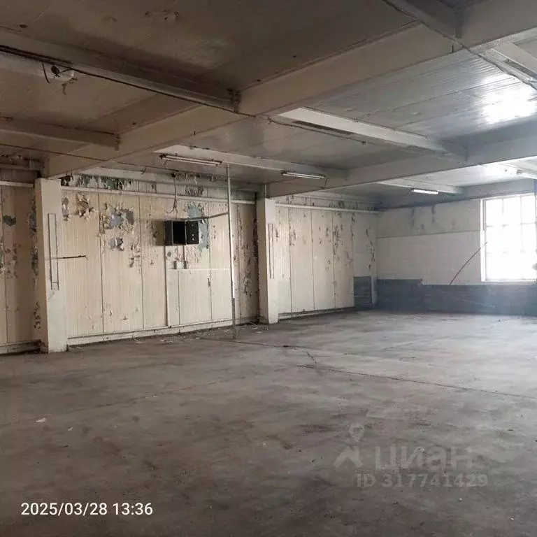 Помещение свободного назначения в Оренбургская область, Оренбург ... - Фото 1