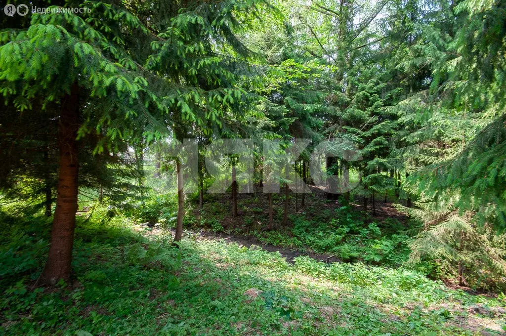 Участок в Московская область, Дмитровский муниципальный округ, посёлок ... - Фото 1