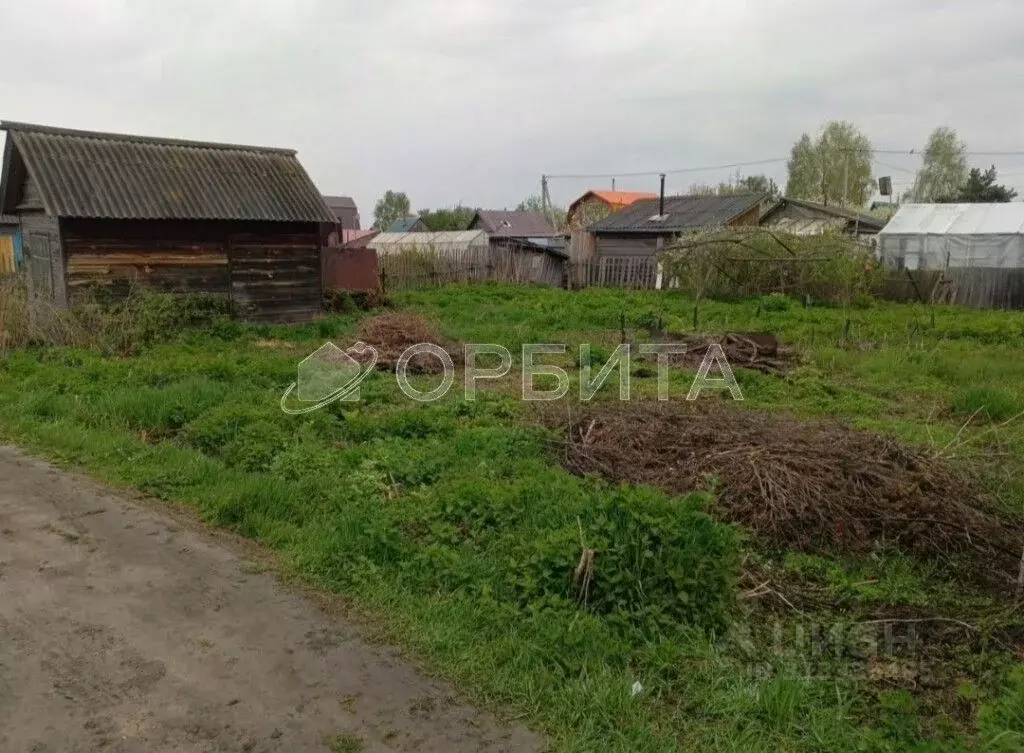 Участок в Тюменская область, Тюмень Ягодное СНТ, ул. Ягодная (4.12 ... - Фото 1