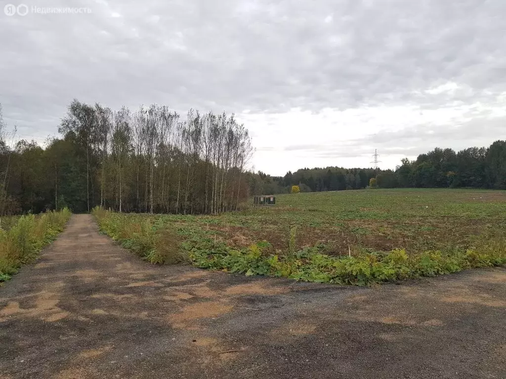 Участок в Московская область, городской округ Клин, коттеджный поселок ... - Фото 1