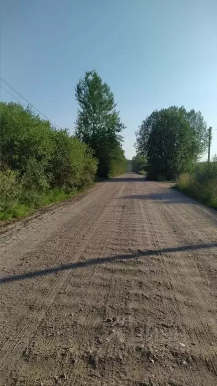 Участок в Новгородская область, Новгородский район, д. Волынь  (581.0 ... - Фото 0