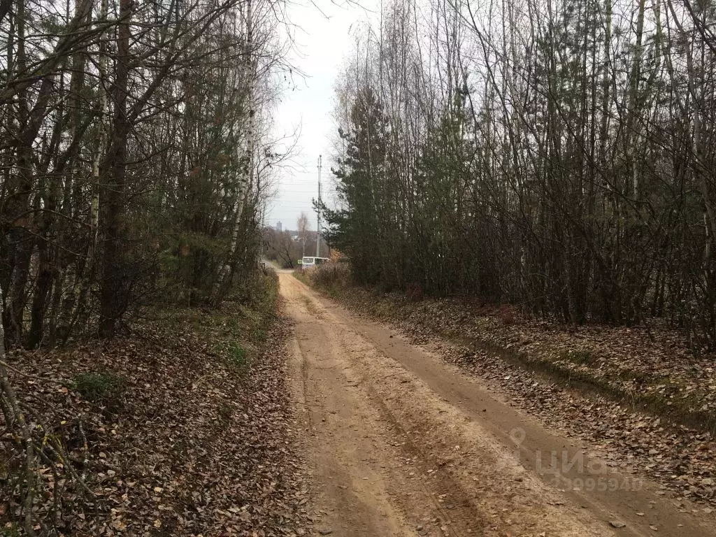 Купить Участок В Шуйском Районе Ивановской