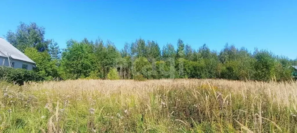 Участок в Владимирская область, Петушки пер. Северный (20.0 сот.) - Фото 2