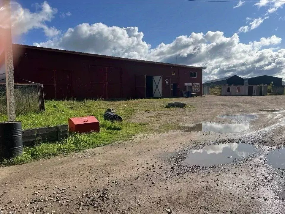 Помещение свободного назначения в Ленинградская область, Волосовский ... - Фото 2