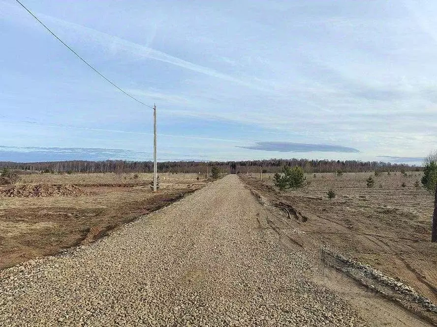 Участок в Ивановская область, Ивановский район, Беляницкое с/пос, д. ... - Фото 2