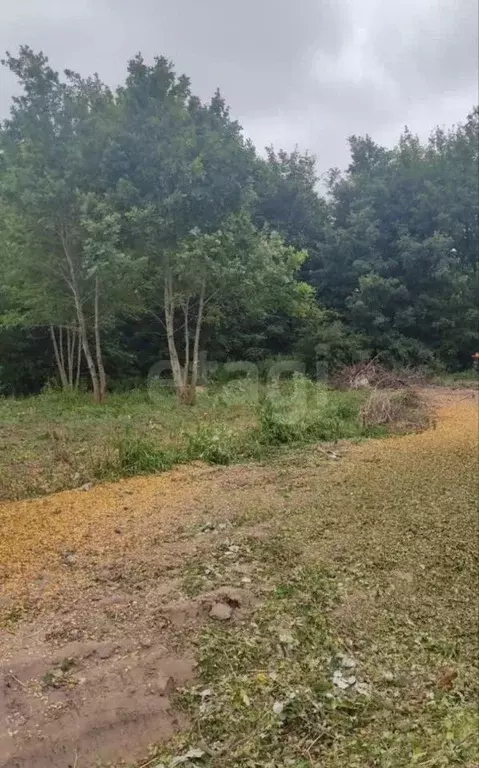 Участок в Калининградская область, Калининград Чайка СНТ, проезд ... - Фото 1