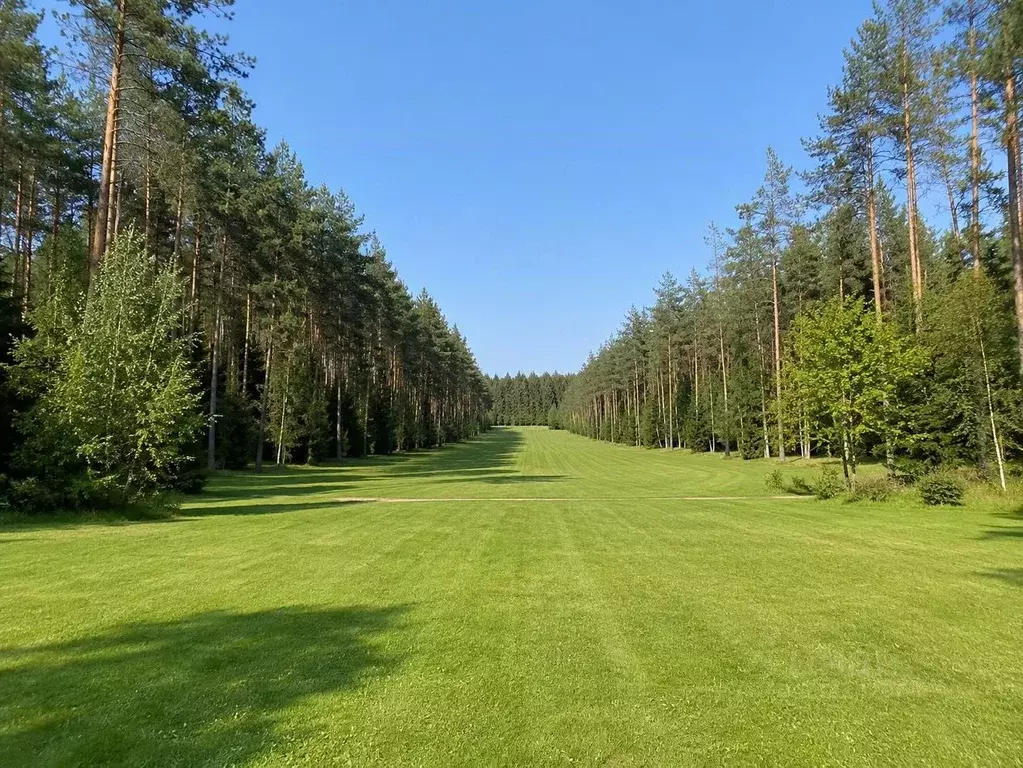 Участок в Московская область, Клин городской округ, д. Матвеево  (34.0 ... - Фото 1