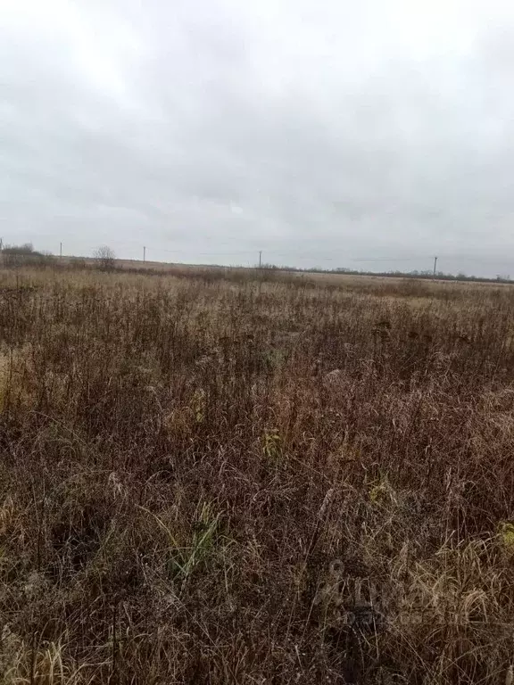 Участок в Новгородская область, Старорусский район, Наговское с/пос  ... - Фото 1