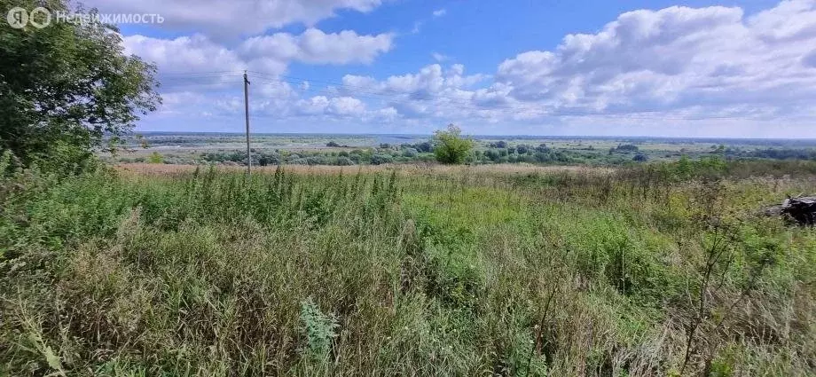 Участок в Панфилово, Школьная улица, 99 (170 м) - Фото 1