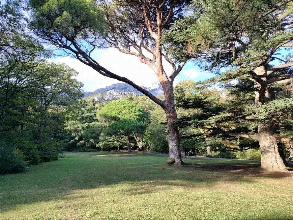 1-к кв. Крым, Алупка ш. Севастопольское, 6Ак2 (29.0 м) - Фото 2