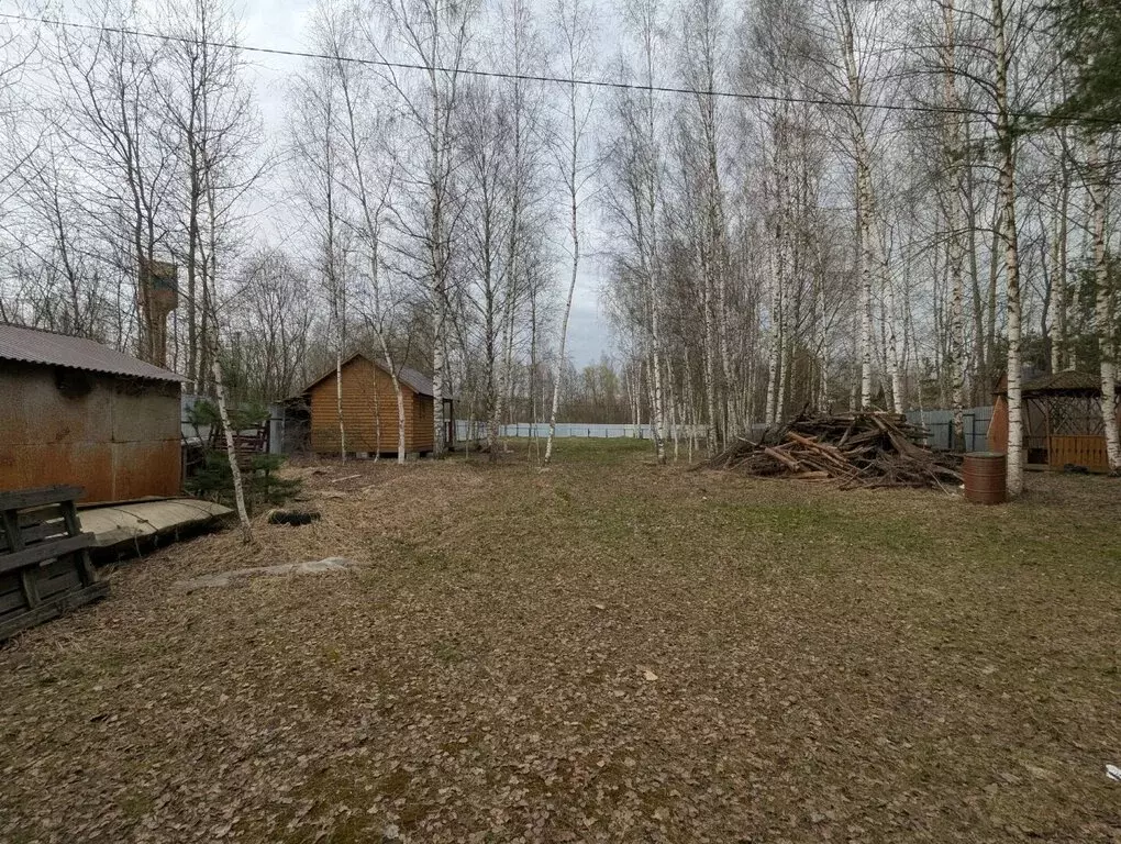 Участок в деревня Белая, СНТ Чайка (24 м) - Фото 2