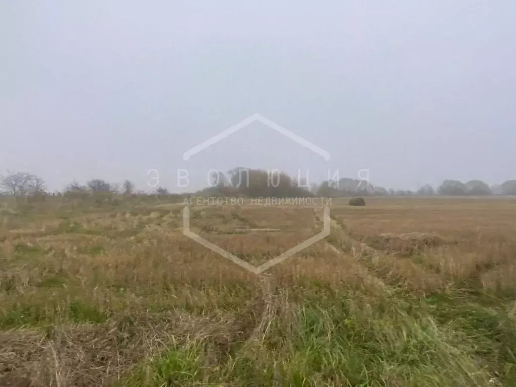 Участок в Калининградская область, Зеленоградский муниципальный округ, ... - Фото 1