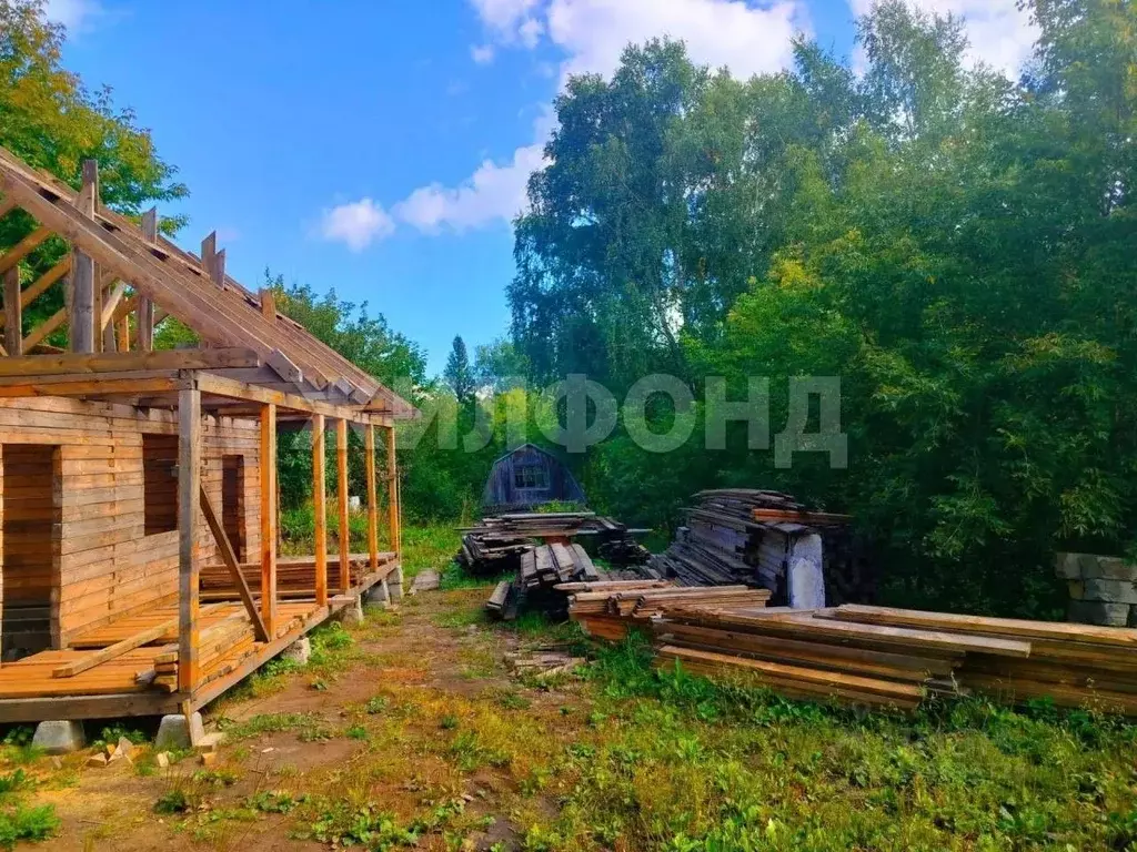 Участок в Новосибирская область, Новосибирск СНТ Весна Сибири тер.,  ... - Фото 2