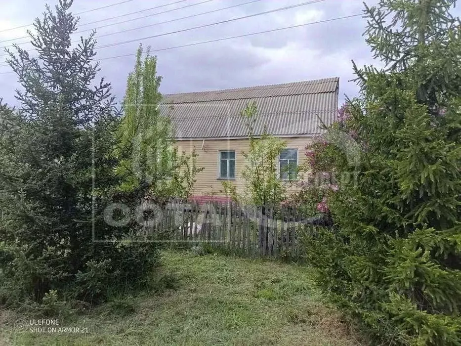 Дом в Воронежская область, Анна пгт ул. Совхозная, 87 (83 м) - Фото 1