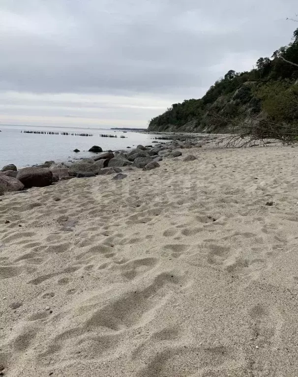Участок в Калининградская область, Светлогорский городской округ, пос. ... - Фото 1