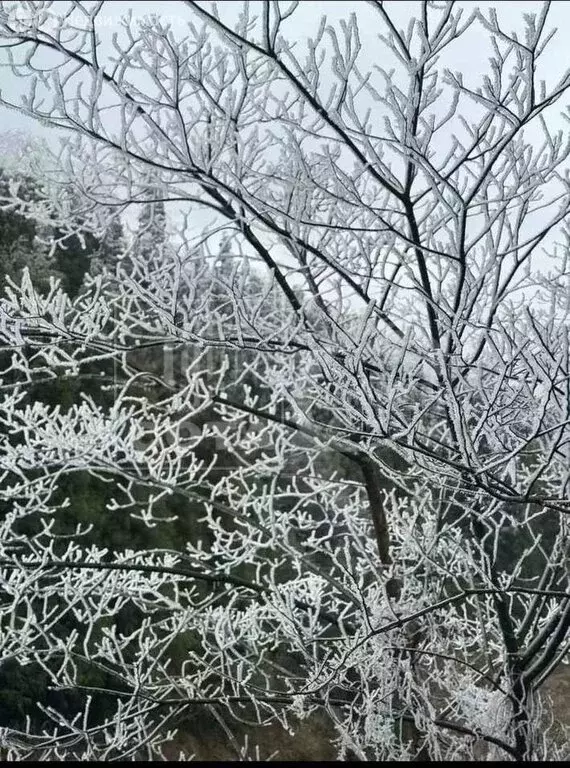 Участок в село Александровка, Центральная улица, 38 (1202 м) - Фото 1