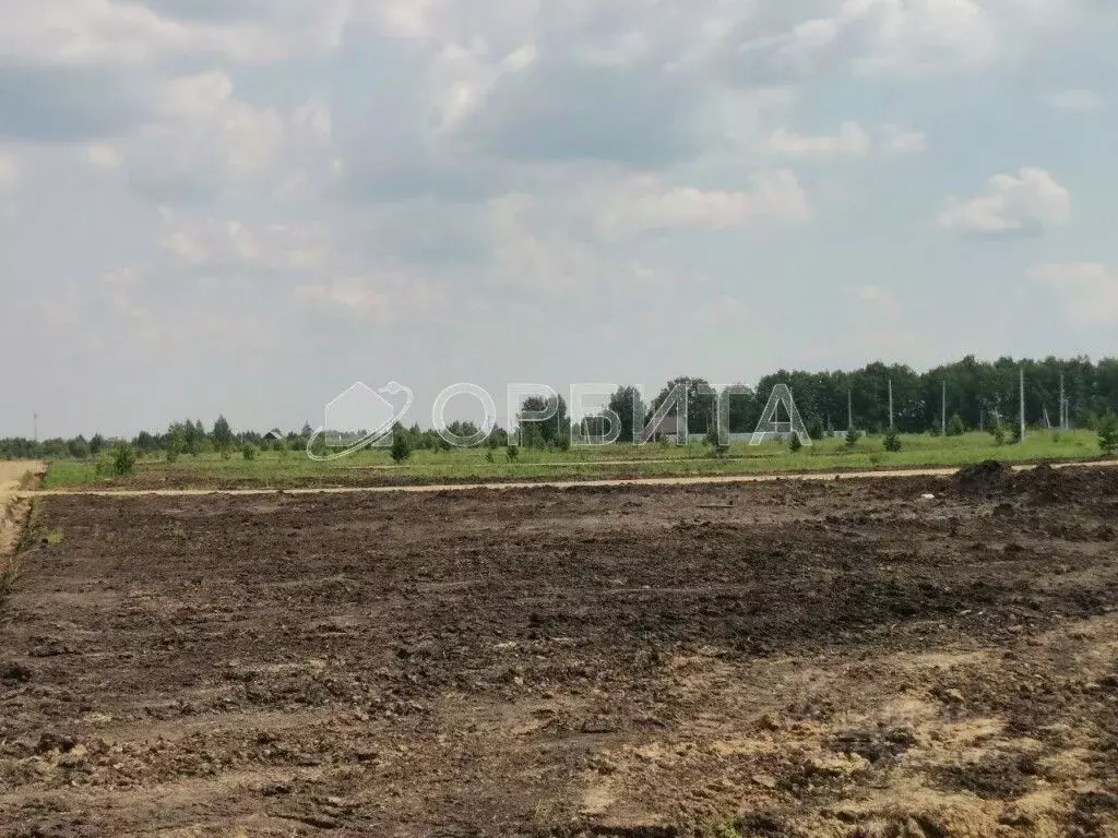 Участок в Тюменская область, Тюменский район, д. Елань  (12.86 сот.) - Фото 0