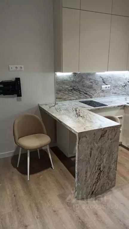 Студия Санкт-Петербург Планерная ул., 97к1 (21.3 м) - Фото 1