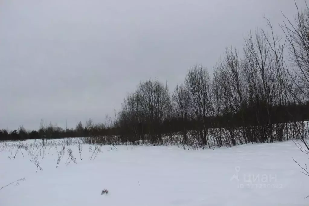 Участок в Московская область, Шаховская муниципальный округ, с. ... - Фото 2