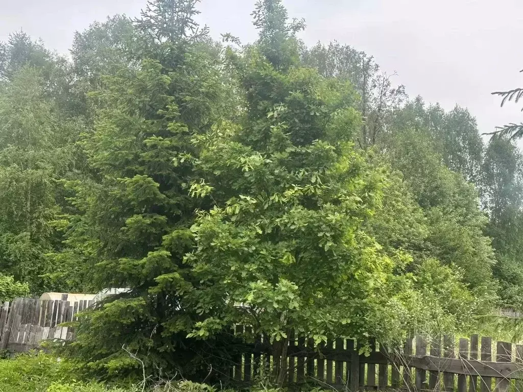 Участок в Свердловская область, Верхняя Пышма городской округ, пос. ... - Фото 2