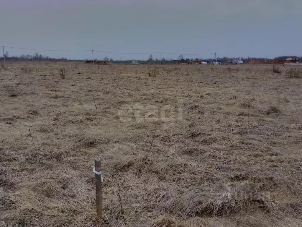 Участок в Псковская область, Псковский район, Завеличенская волость, ... - Фото 1