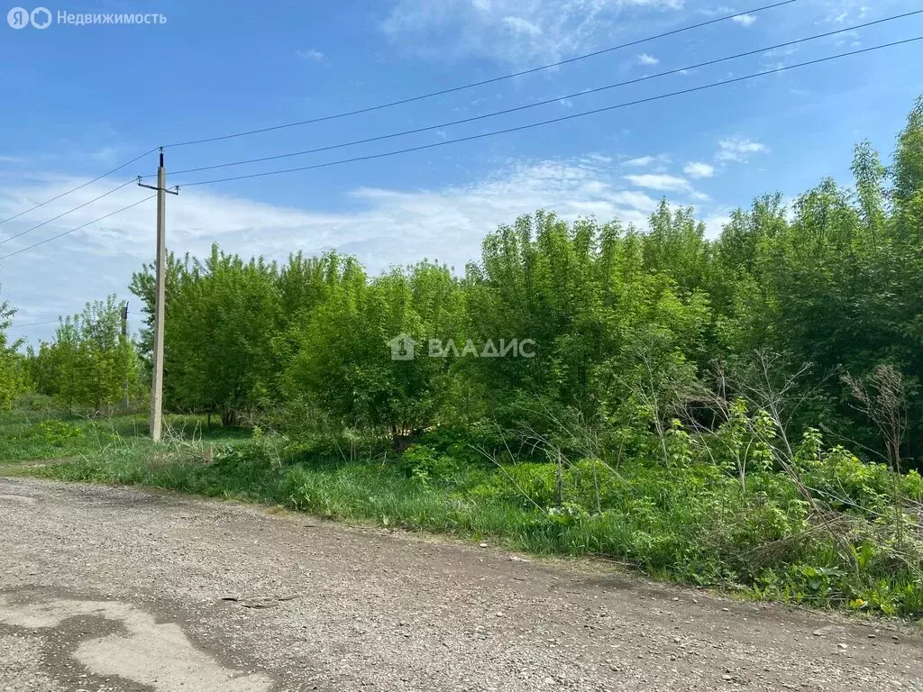 Участок в Бийск, Пригородная улица, 61 (62 м) - Фото 1