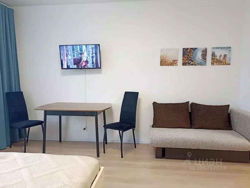 1-к кв. Калужская область, Обнинск ул. Курчатова, 25/5 (25.0 м) - Фото 2