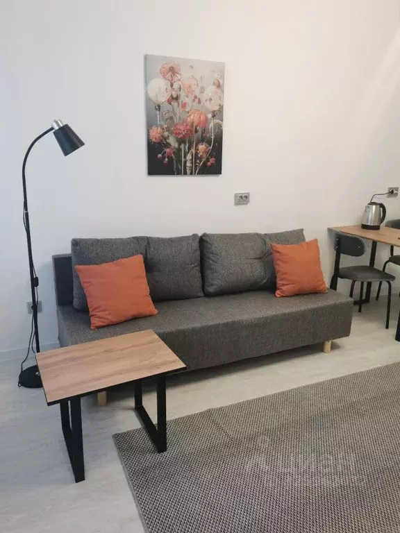 Студия Санкт-Петербург просп. Ветеранов, 210 (24.5 м) - Фото 1