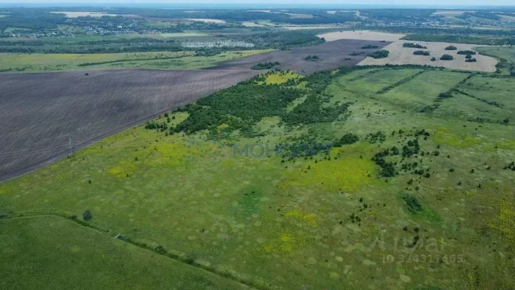 Участок в Нижегородская область, Лысковский район, с. Саурово Нижняя ... - Фото 2