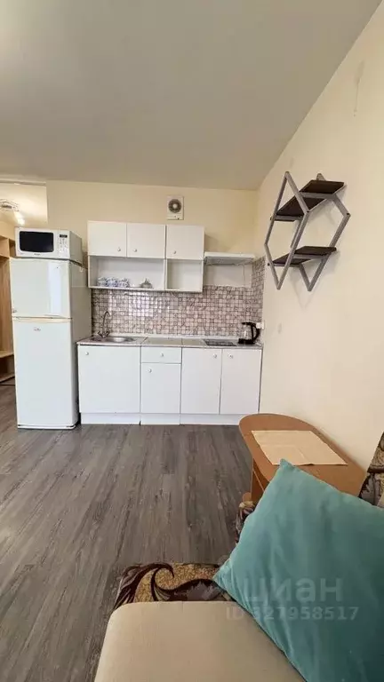 Студия Ленинградская область, Ломоносовский район, Виллозское ... - Фото 2