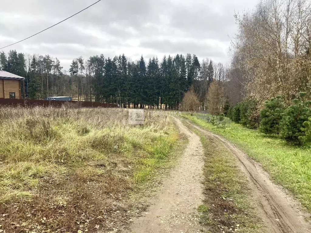 Продается участок в г. Видное - Фото 1