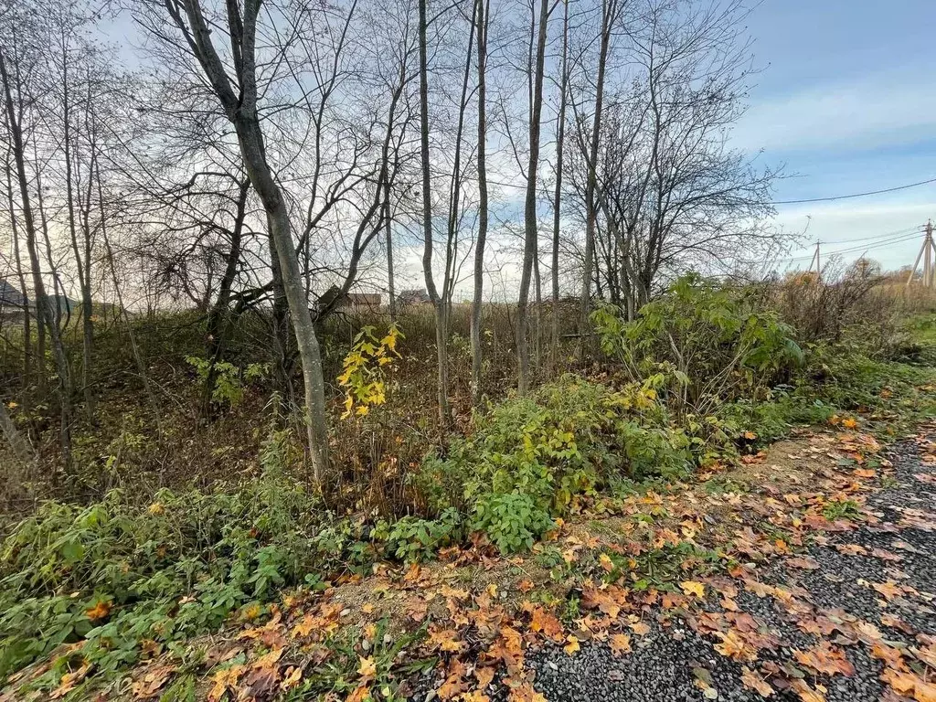 Участок в Московская область, Сергиево-Посадский городской округ, д. ... - Фото 2