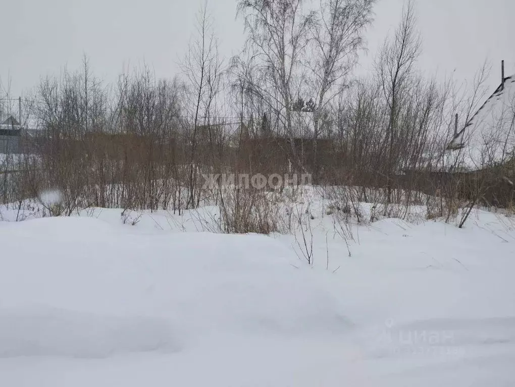 Участок в Новосибирская область, Новосибирский район, Криводановский ... - Фото 1