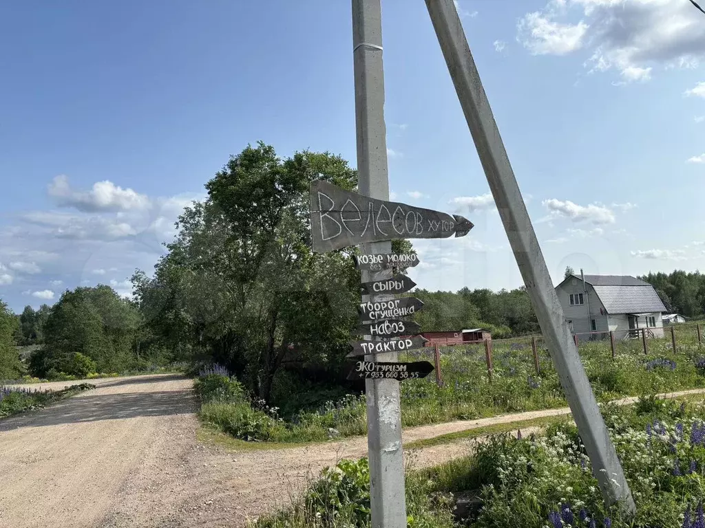 Участок 36,8 га (СНТ, ДНП) - Фото 0