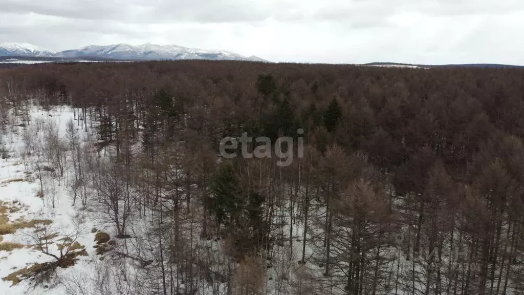 Участок в Сахалинская область, Анивский городской округ, с. Мицулевка  ... - Фото 0