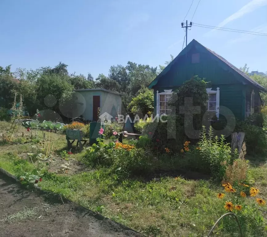 Купить Дачу В Коврове