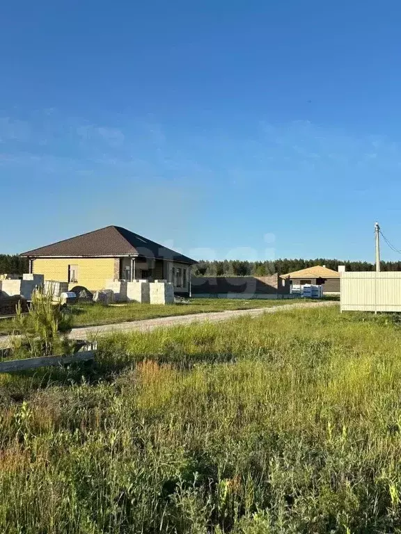 Участок в Брянская область, Брянский район, Новодарковичское с/пос, д. ... - Фото 2