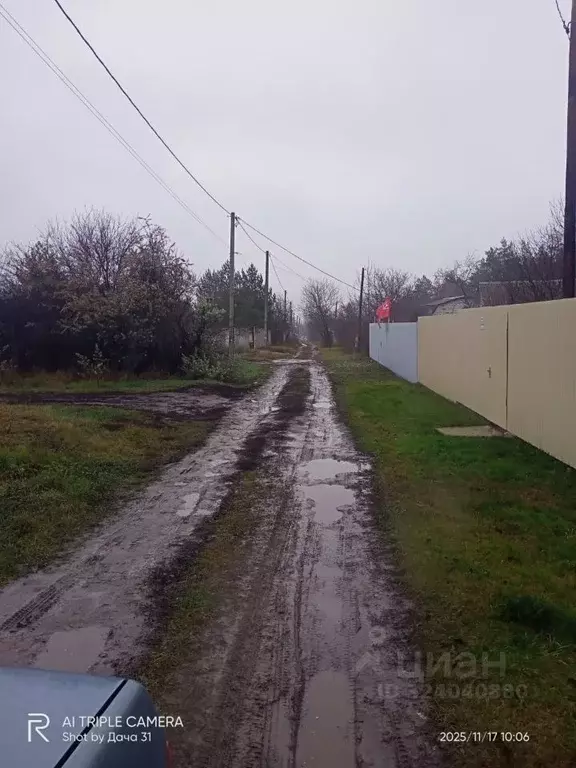 Участок в Белгородская область, Яковлевский муниципальный округ, ... - Фото 2