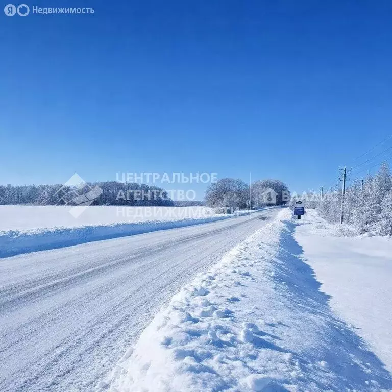 Участок в село Вышгород, Сосновая улица, 34 (15 м) - Фото 2