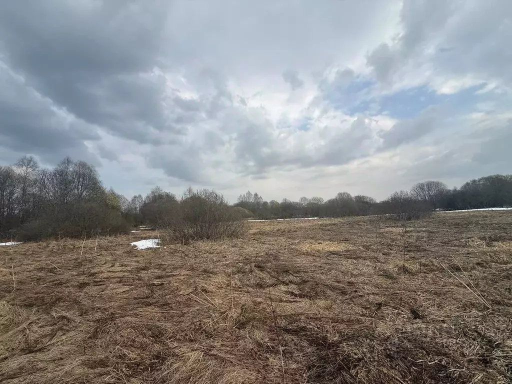 Участок в Московская область, Можайский муниципальный округ, д. ... - Фото 1