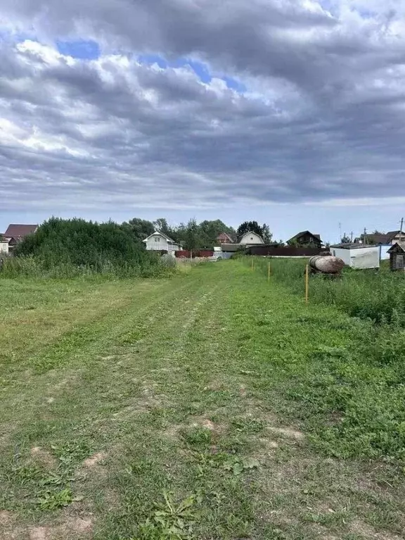 Участок в Новгородская область, Новгородский район, Борковское с/пос, ... - Фото 1