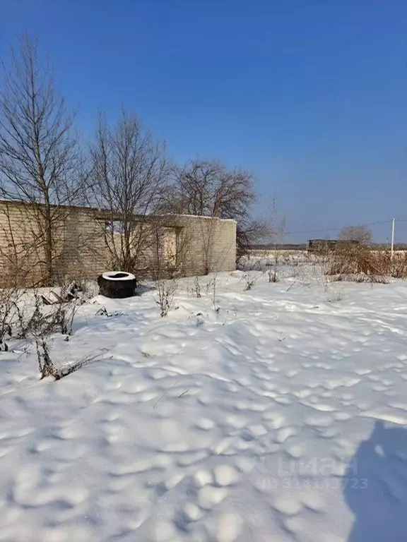 Участок в Марий Эл, Волжский район, Помарское с/пос, д. Березники  ... - Фото 0