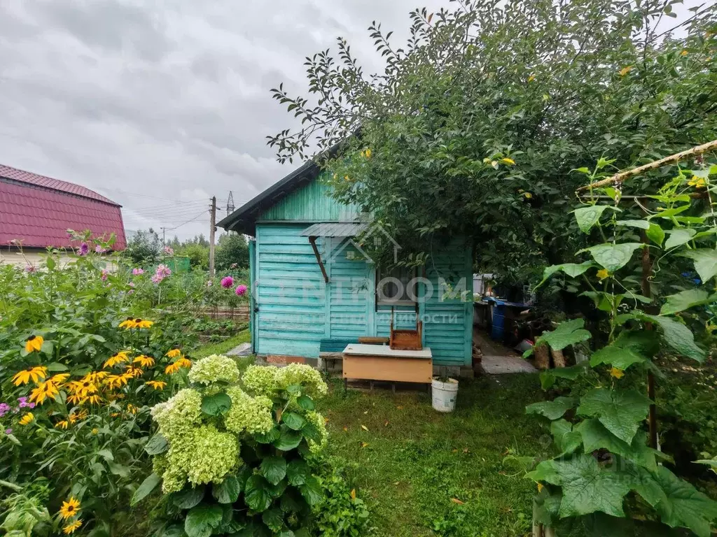 Дом в Татарстан, Казань Нокса-2 СНТ, 97 (40 м) - Фото 1