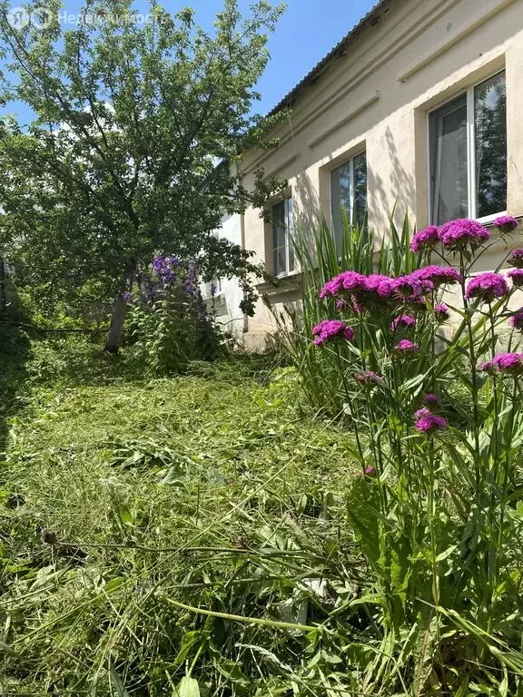 Дом в Бакал, улица Горняков, 4 (62.9 м) - Фото 2