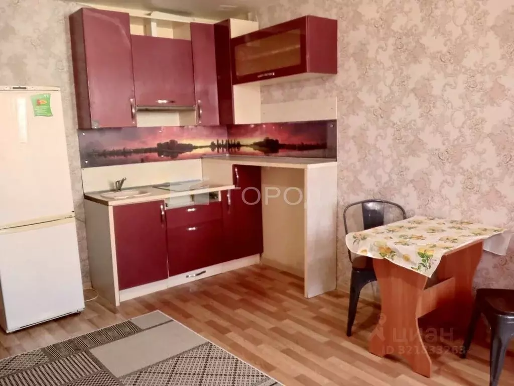 Студия Новосибирская область, Новосибирск ул. Виктора Уса, 13 (26.0 м) - Фото 1