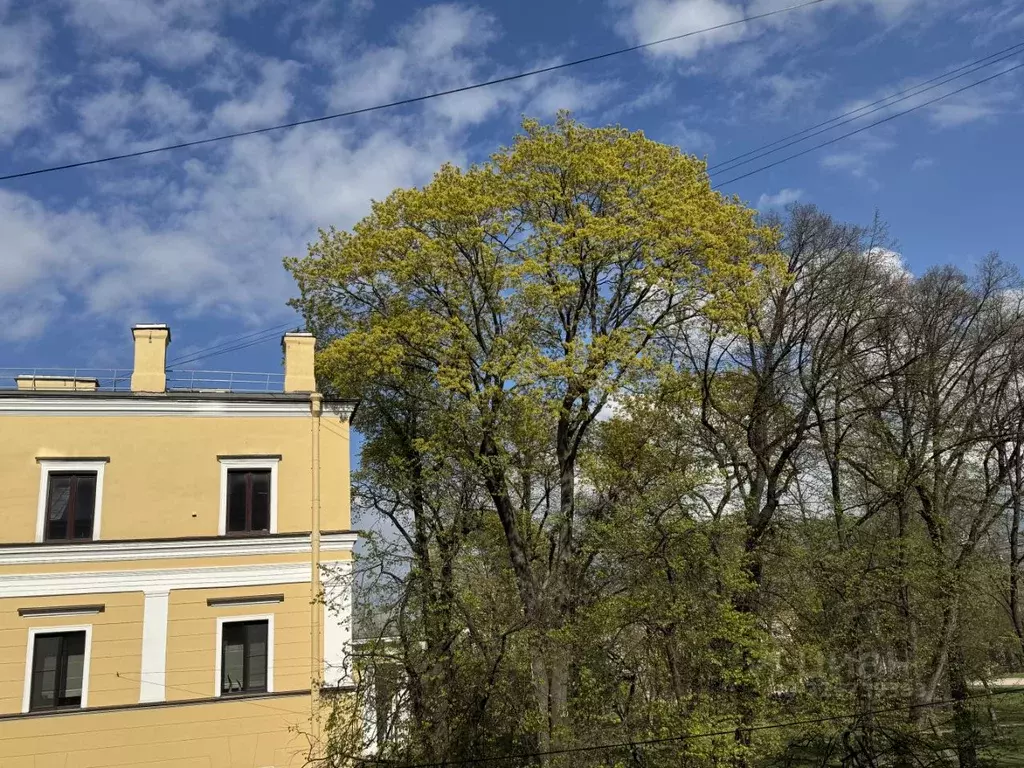 Комната Санкт-Петербург 5-я Васильевского острова линия, 10 (23.0 м) - Фото 1