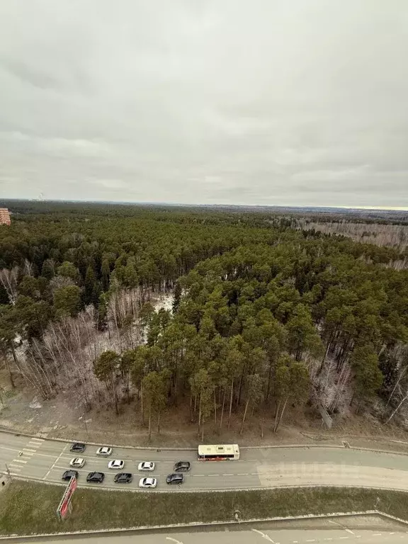 Студия Пермский край, Пермь ул. Калинина, 66 (21.8 м) - Фото 1